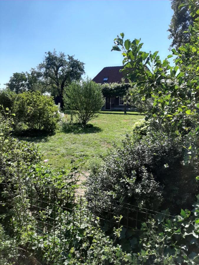 Bruiler Hof Bed and Breakfast Ruurlo Eksteriør billede